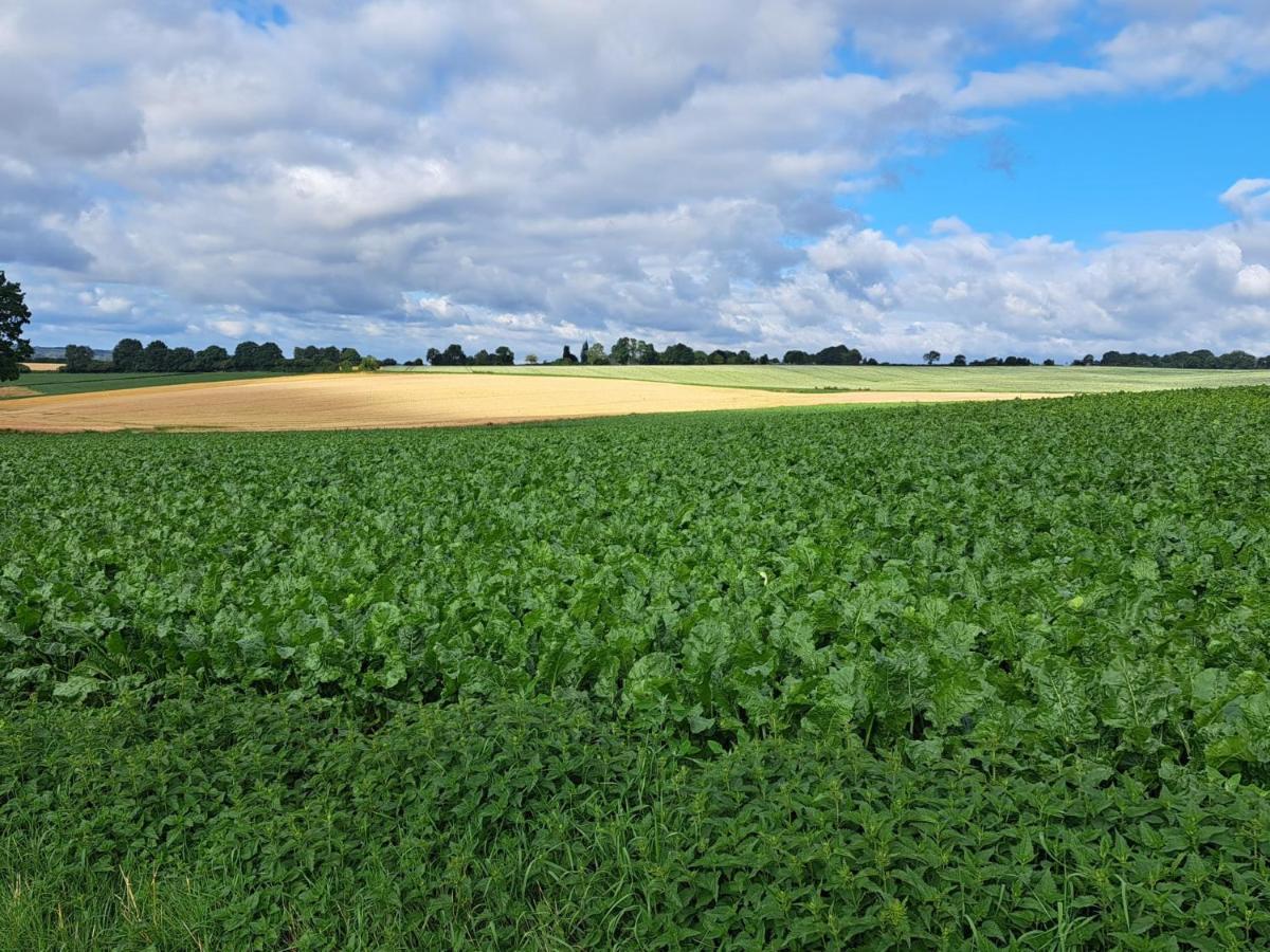 Steef'S Vakantiehuis Zuid Limburg Simpelveld Exteriér fotografie