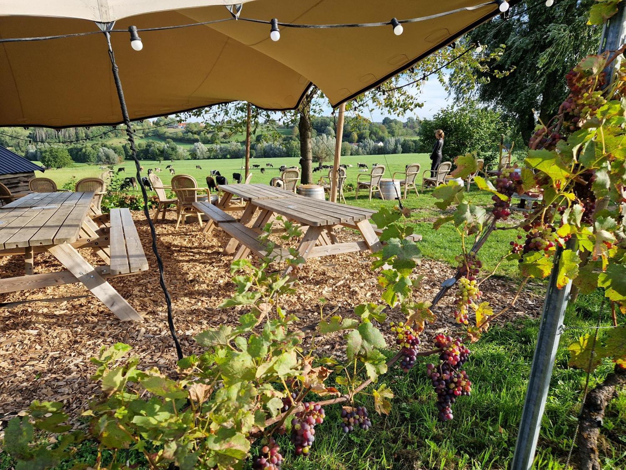 Steef'S Vakantiehuis Zuid Limburg Simpelveld Exteriér fotografie
